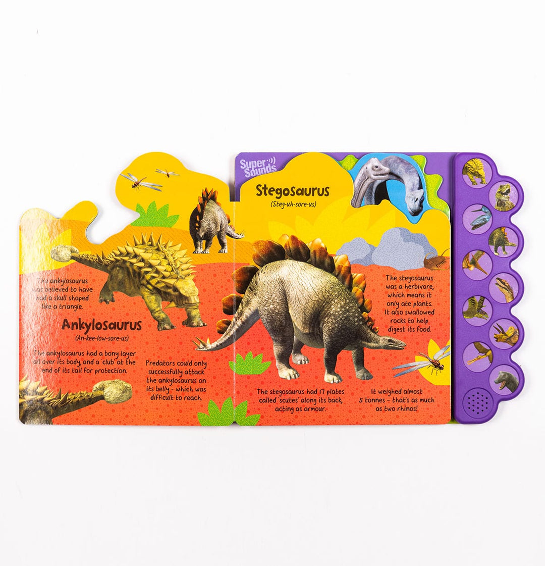 I Can Hear Dinosaurs Board book - Lotange - Lake Press - Children's Books